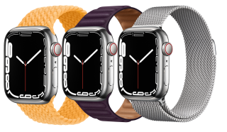 Apple Watch Series 7 Edelstahlgehäuse 45mm (GPS + Cellular) Lederarmband mit Endstück, Geflochtenes Solo Loop, Milanaise