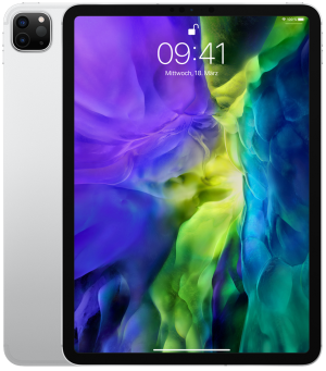 Apple iPad Pro (2020) 11 Zoll WiFi 256GB verkaufen