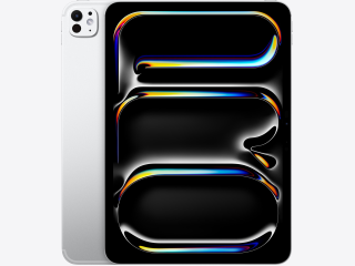 Apple iPad Pro 11 Zoll (2024) WiFi + Cellular 1TB verkaufen