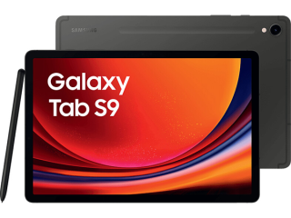 Samsung Galaxy Tab S9 (SM-X710N) 256GB 