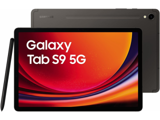 Samsung Galaxy Tab S9 (SM-X716B) 5G 256GB verkaufen