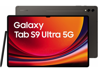 Samsung Galaxy Tab S9 Ultra (SM-X916B) 5G 256GB verkaufen