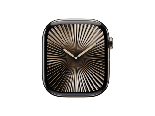 Apple Watch Series 10 Titan 46mm  (GPS + Cellular) Edelstahl Armband verkaufen
